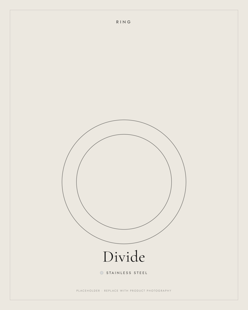 Stainless Steel — Divide